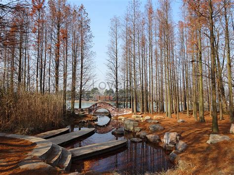 合肥有哪些度假村：深度探索休闲胜地